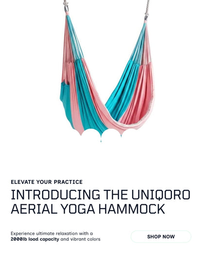 Uniqoro Aerial Yoga Hammock 2000lb Load Capacity Anti-Gravity Swing